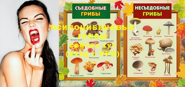 spice Верхний Тагил