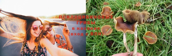 прущая мука Бронницы