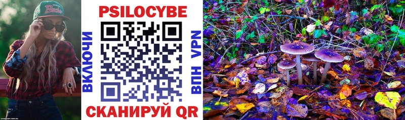 Галлюциногенные грибы Psilocybine cubensis  даркнет сайт  Кондрово 